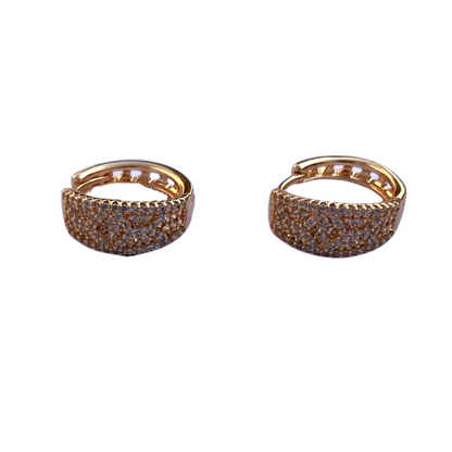 Modern In-Line Zircon Clip Earrings